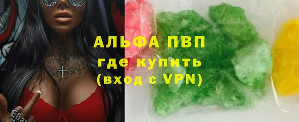 СК Белокуриха