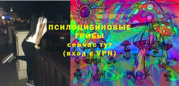 СК Белокуриха