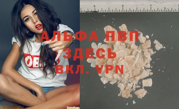 СК Белокуриха