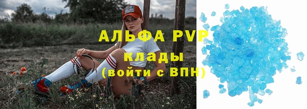 СК Белокуриха