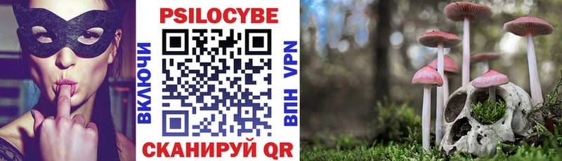 Галлюциногенные грибы GOLDEN TEACHER  Гусев 